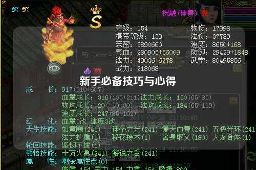 新手必备技巧与心得